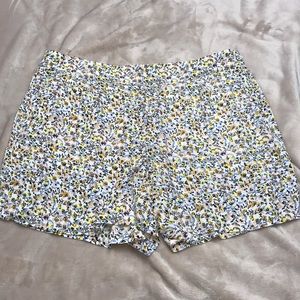 Ann Taylor Loft Shorts